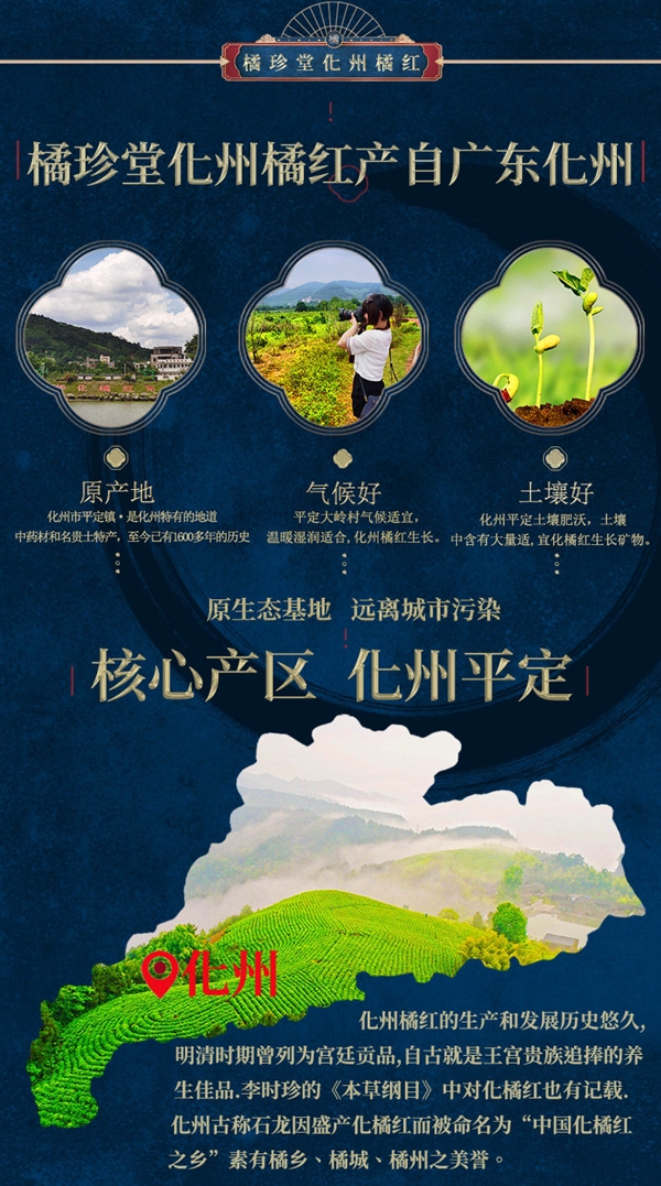 富联娱乐:化州老字号:橘珍堂十年陈藏橘红切片100克10元官方大促